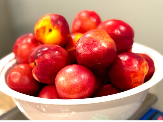 Nectarines